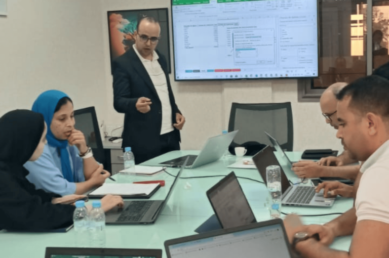 Management Commercial, KPI & Tableaux de Bord, Excel et Power B